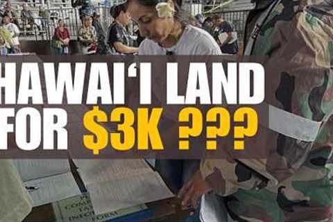 We Spent the Day Bidding on $3,000 Land in Hawai‘i (Tax Auction Vlog)