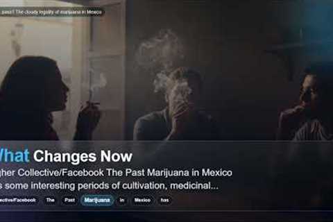 Puff, puff, pass? The cloudy legality of marijuana in Mexico
