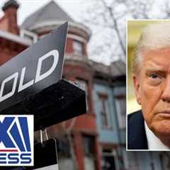 HOME RUN?: CEO responds to Trump’s 50-year mortgage proposal