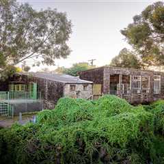 There’s a Canyon Oasis Behind This $2.5M San Diego Home