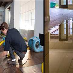 Water Damage Restoration in Caseyville, IL: Restoring Homes and Curb Appeal After Water Damage