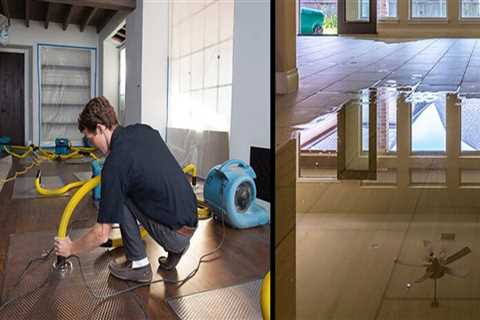 Water Damage Restoration in Caseyville, IL: Restoring Homes and Curb Appeal After Water Damage