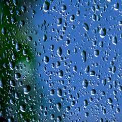 Enhance Your Vacation Rental with Expert Window Services