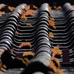 Transform Your Home with Expert Roofing Services in Bozeman