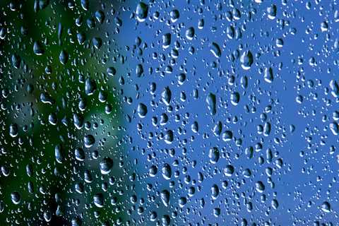 Enhance Your Vacation Rental with Expert Window Services