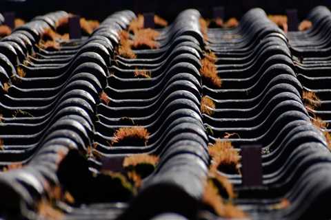 Transform Your Home with Expert Roofing Services in Bozeman
