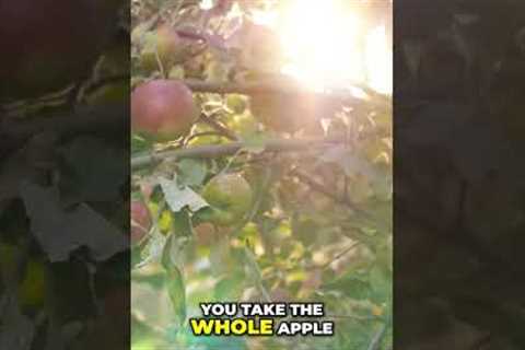 Apple Fiber: Detox Your Body, Boost Your Health! #shorts